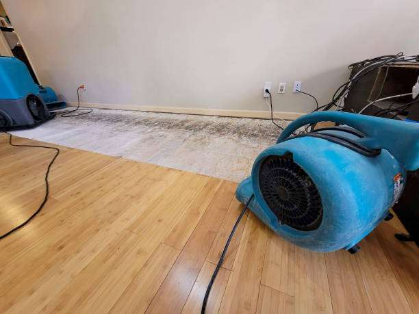 Professional Emergency Water Damage technician working in Keasbey, NJ